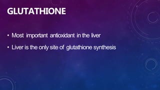 GLUTATHIONE
• Most important antioxidant in the liver
• Liver is the only site of glutathione synthesis
 