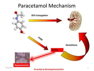 Paracetamol poisoning ml nyein