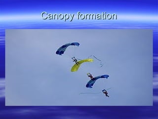 Canopy formation 