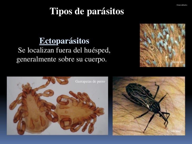 La biología los parásitos de las plantas