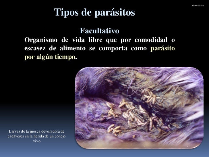 INTRIDUCCION DE PARASITOS