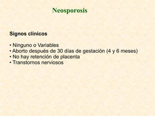 Neosporosis


Signos clínicos

• Ninguno o Variables
• Aborto después de 30 días de gestación (4 y 6 meses)
• No hay retención de placenta
• Transtornos nerviosos
 