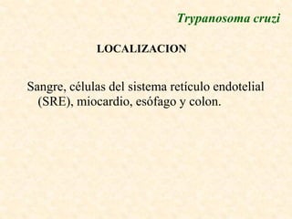 Trypanosoma cruzi

             LOCALIZACION


Sangre, células del sistema retículo endotelial
  (SRE), miocardio, esófago y colon.
 