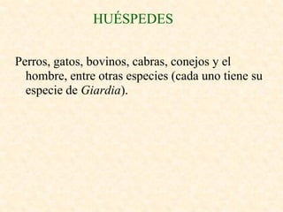 HUÉSPEDES

Perros, gatos, bovinos, cabras, conejos y el
  hombre, entre otras especies (cada uno tiene su
  especie de Giardia).
 