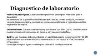 Productos patológicos. Las muestras o productos patológicos más útiles para el
diagnóstico
de laboratorio de la paracoccidioidomicosis son: esputo, lavado bronquial, exudados
y pus de lesiones de piel y mucosas; en los casos ganglionares o viscerales son útiles
fragmentos de biopsia.
Examen directo. Se realiza entre cubre y portaobjeto con KOH (20 %). También puede
realizarse examen microscópico en fresco y con blanco de calcoflúor.
Cultivo. Las muestras deben sembrarse en agar Sabouraud e incubar entre 25 y 30 oC;
para confirmar su carácter dimórfico se debe realizar una réplica a 37 oC en medios
enriquecidos
como agar-sangre o agar-chocolate para obtener la fase levaduriforme.
 