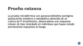 La prueba intradérmica con paracoccidioidina (antígeno
polisacárido somático o metabólico obtenido de un
cultivo de P. brasiliensis), desencadena una respuesta
celular de tipo retardado en individuos que hayan estado
previamente expuestos al hongo.
 