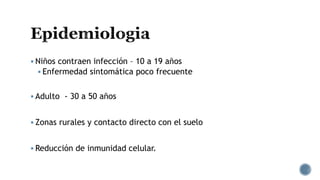  Niños contraen infección – 10 a 19 años
 Enfermedad sintomática poco frecuente
 Adulto - 30 a 50 años
 Zonas rurales y contacto directo con el suelo
 Reducción de inmunidad celular.
 