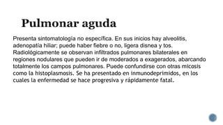 Presenta sintomatología no específica. En sus inicios hay alveolitis,
adenopatía hiliar; puede haber fiebre o no, ligera disnea y tos.
Radiológicamente se observan infiltrados pulmonares bilaterales en
regiones nodulares que pueden ir de moderados a exagerados, abarcando
totalmente los campos pulmonares. Puede confundirse con otras micosis
como la histoplasmosis. Se ha presentado en inmunodeprimidos, en los
cuales la enfermedad se hace progresiva y rápidamente fatal.
 