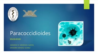 Paracoccidioides
BRASILIENSIS
GERARDO D. MENDOZA GARCÍA
ERENDIRA MENDEZ GOMEZ
 