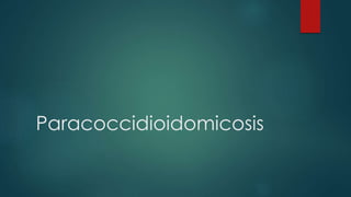 Paracoccidioidomicosis
 