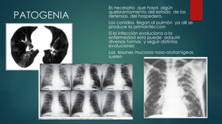 PATOGENIA
Es necesario que haya algún
quebrantamiento del estado de las
defensas del hospedero.
Los conidios llegan al pulmón ya alli se
produce la primoinfeccion
Si la infección evoluciona a la
enfermedad esta puede adquirir
diversas formas y seguir distintas
evoluciones
Las lesones mucosas naso-orofarnigeas
suelen
 