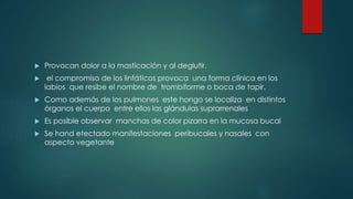 Provocan dolor a la masticación y al deglutir.
 el compromiso de los linfáticos provoca una forma clínica en los
labios que resibe el nombre de trombiforme o boca de tapir.
 Como además de los pulmones este hongo se localiza en distintos
órganos el cuerpo entre ellos las glándulas suprarrenales
 Es posible observar manchas de color pizarra en la mucosa bucal
 Se hand etectado manifestaciones peribucales y nasales con
aspecto vegetante
 
