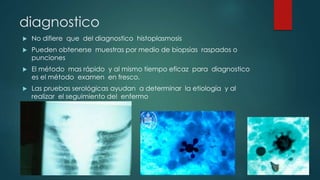 diagnostico
 No difiere que del diagnostico histoplasmosis
 Pueden obtenerse muestras por medio de biopsias raspados o
punciones
 El método mas rápido y al mismo tiempo eficaz para diagnostico
es el método examen en fresco.
 Las pruebas serológicas ayudan a determinar la etiología y al
realizar el seguimiento del enfermo
 
