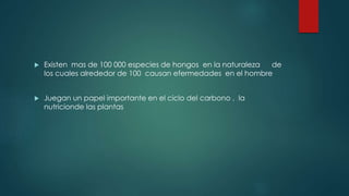  Existen mas de 100 000 especies de hongos en la naturaleza de
los cuales alrededor de 100 causan efermedades en el hombre
 Juegan un papel importante en el ciclo del carbono , la
nutricionde las plantas
 
