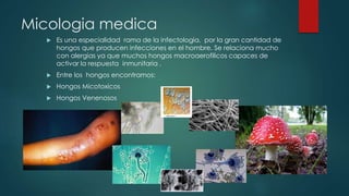 Micologia medica
 Es una especialidad rama de la infectologia, por la gran cantidad de
hongos que producen infecciones en el hombre. Se relaciona mucho
con alergias ya que muchos hongos macroaerofilicos capaces de
activar la respuesta inmunitaria .
 Entre los hongos encontramos:
 Hongos Micotoxicos
 Hongos Venenosos
 