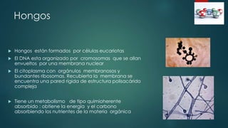 Hongos
 Hongos están formados por células eucariotas
 El DNA esta organizado por cromosomas que se allan
envueltos por una membrana nuclear
 El citoplasma con orgánulos membranosos y
bundantes ribosomas. Recubierta la membrana se
encuentra una pared rígida de estructura polisacárido
compleja
 Tiene un metabolismo de tipo quimioherente
absorbido : obtiene la energía y el carbono
absorbiendo los nutrientes de la materia orgánica
 