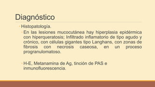 Diagnóstico
◦ Histopatología.
◦ En las lesiones mucocutánea hay hiperplasia epidérmica
con hiperqueratosis; Infiltrado inflamatorio de tipo agudo y
crónico, con células gigantes tipo Langhans, con zonas de
fibrosis con necrosis caseosa, en un proceso
progranulomatoso.
◦ H-E, Metanamina de Ag, tinción de PAS e
inmunofluorescencia.
 