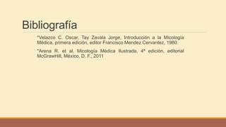 Bibliografía
*Velazco C. Oscar, Tay Zavala Jorge, Introducción a la Micología
Médica, primera edición, editor Francisco Mendez Cervantez, 1980.
*Arena R. et al, Micología Médica Ilustrada, 4ª edición, editorial
McGrawHill, México, D. F., 2011
 