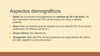 Aspectos demográficos
1. Edad: Se encuentra principalmente en adultos de 30 a 60 años. Se
han reportado menos del 15% de los casos en niños y adultos
jóvenes.
2. Sexo: Mas en hombre que en mujeres en una relación 87:13 en zonas
endémicas. En México es de 9:1.
3. Grupo étnico: Sin relevancia-
4. Ocupación: Más del 70% de los pacientes son agricultores de cultivo
de café, algodón o caña de azúcar.
 