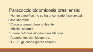 Paracoccidioidomicosis brasilensis:
*Hongo dimórfico, no se ha encontrado fase sexual.
Fase saprobia
*Crece a temperatura ambiente
*Micelial septado
*Forma colonias algodonosas blancas
*Abundantes clamidosporas.
*1 – 3 β glucanos (pared celular)
 