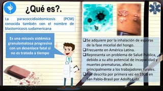 ¿Qué es?.
La paracoccidioidomicosis (PCM)
conocida también con el nombre de
blastomicosis sudamericana
Es una micosis sistémica
granulomatosa progresiva
con un desenlace fatal si
no es tratada a tiempo
Se adquiere por la inhalación de esporas
de la fase micelial del hongo.
Frecuente en América Latina.
Representa un problema de Salud Publica,
debido a su alto potencial de incapacidad y
muertes prematuras, afecta
principalmente a los trabajadores rurales.
Fue descrita por primera vez en 1908 en
San Pablo-Brasil por Adolfo Lutz.
 