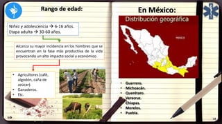Rango de edad:
Niñez y adolescencia  6-16 años.
Etapa adulta  30-60 años.
Alcanza su mayor incidencia en los hombres que se
encuentran en la fase más productiva de la vida
provocando un alto impacto social y económico
• Agricultores (café,
algodón, caña de
azúcar).
• Ganaderos.
• Etc.
En México:
• Guerrero.
• Michoacán.
• Querétaro.
• Veracruz.
• Chiapas.
• Morelos.
• Puebla.
 