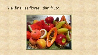 Y al final las flores dan fruto
 