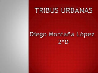 TRIBUS URBANAS Diego Montaña López  2ªD 