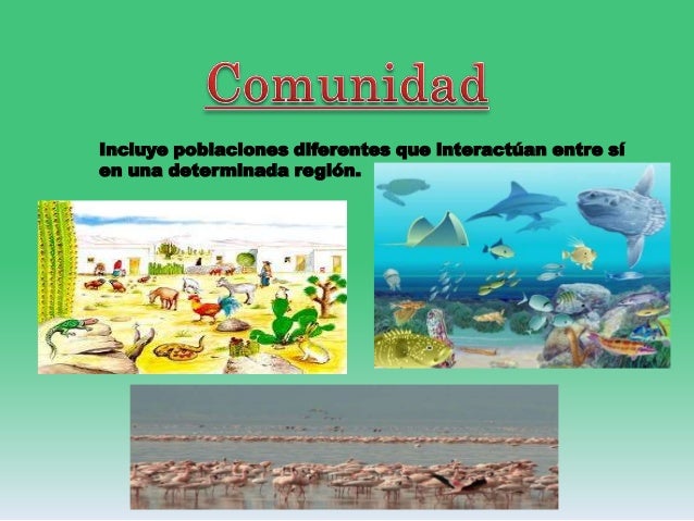 Niveles de organización de la materia.6º