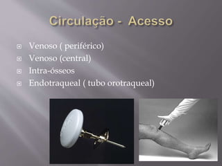  Venoso ( periférico)
 Venoso (central)
 Intra-ósseos
 Endotraqueal ( tubo orotraqueal)
 