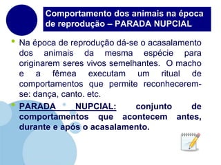 Comportamento dos animais na época de reprodução – PARADA NUPCIALNa época de reprodução dá-se o acasalamento dos animais da mesma espécie para originarem seres vivos semelhantes.  O macho e a fêmea executam um ritual de comportamentos que permite reconhecerem-se: dança, canto. etc.PARADA NUPCIAL: conjunto de comportamentos que acontecem antes, durante e após o acasalamento.