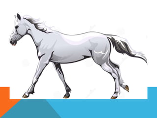 animals for kids learning