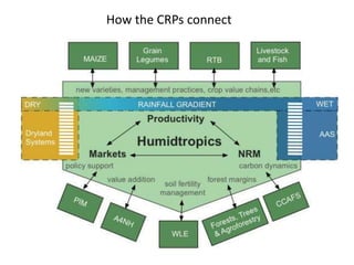 Humidtropics and participatory agricultural research