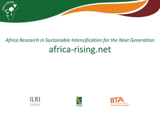 Africa RISING project in Ethiopia and participatory agricultural research