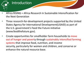 Africa RISING project in Ethiopia and participatory agricultural research