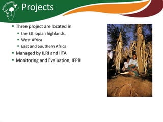 Africa RISING project in Ethiopia and participatory agricultural research