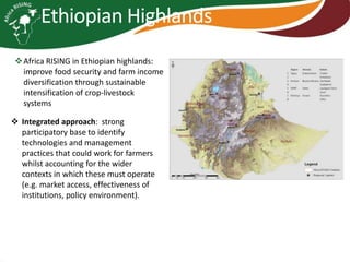 Africa RISING project in Ethiopia and participatory agricultural research