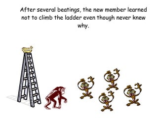 After several beatings, the new member learned not to climb the ladder even though never knew why. 