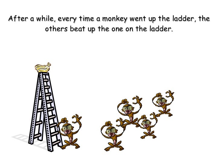 5 Monkeys and a ladder