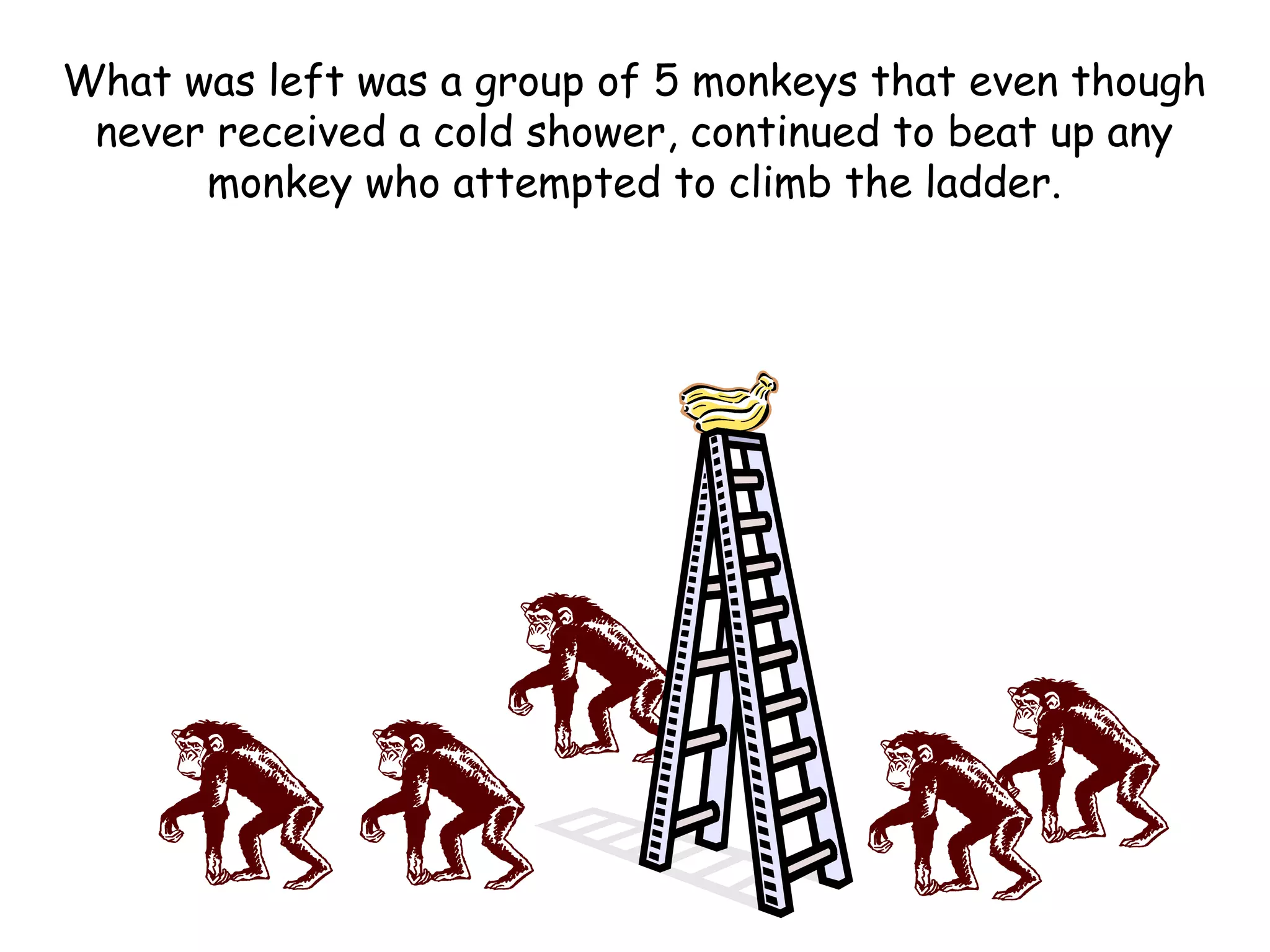 What was left was a group of 5 monkeys that even though
never received a cold shower, continued to beat up any
monkey who attempted to climb the ladder.
 