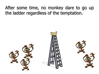 After some time, no monkey dare to go up the ladder regardless of the temptation. 