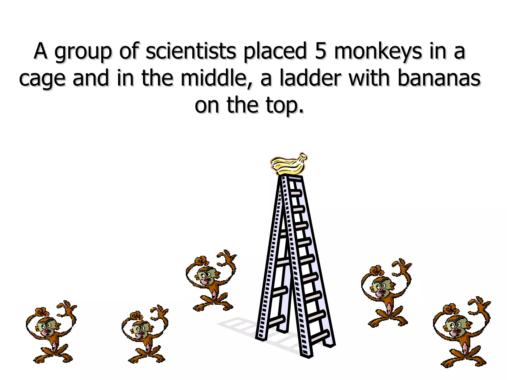 A group of scientists placed 5 monkeys in a cage and in the middle, a ladder with bananas on the top. 