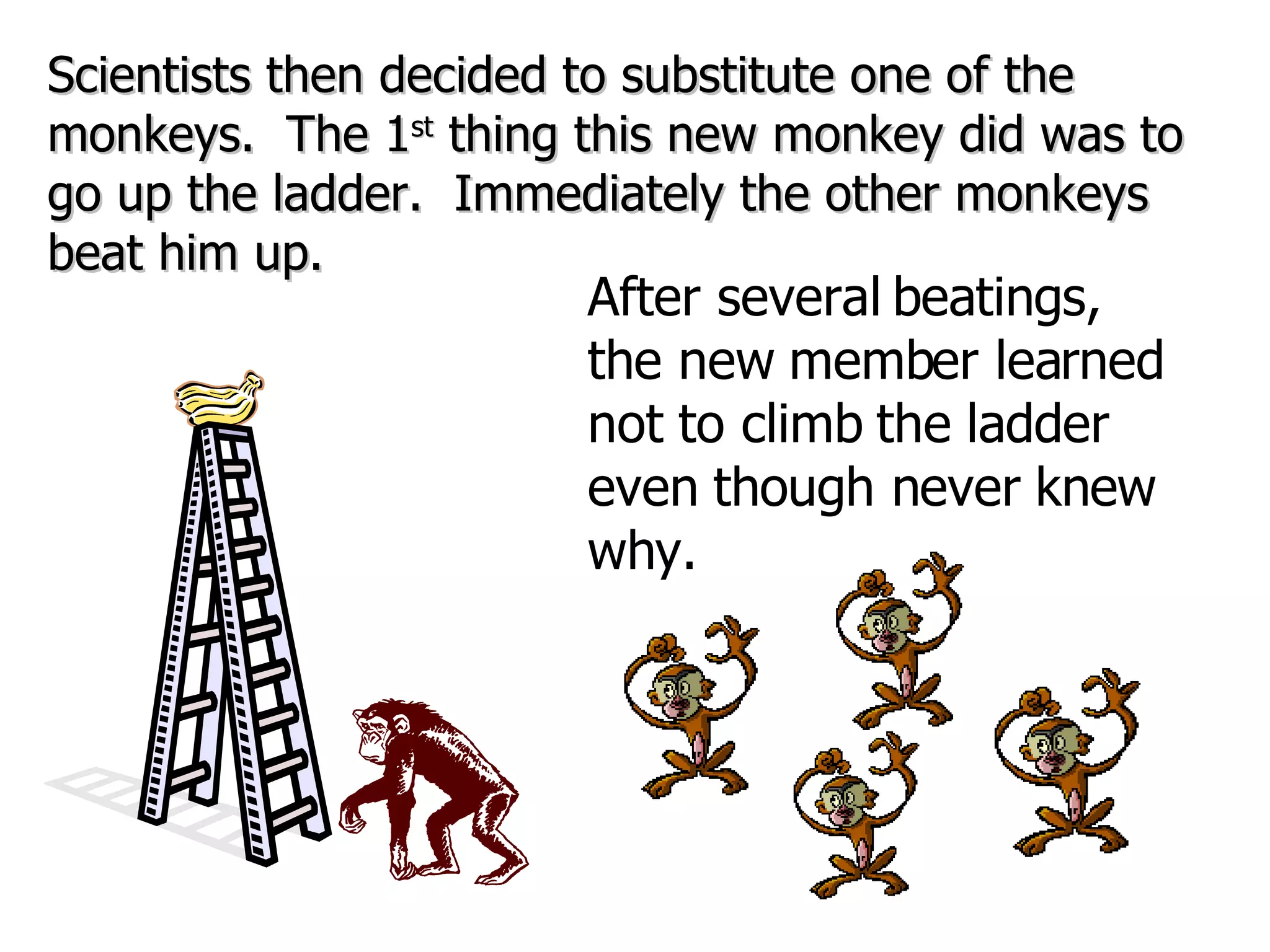 Scientists then decided to substitute one of the monkeys.  The 1 st  thing this new monkey did was to go up the ladder.  Immediately the other monkeys beat him up. After several beatings, the new member learned not to climb the ladder even though never knew why. 