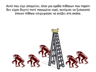 Αυτό που είχε απομείνει, ήταν μια ομάδα πιθήκων που παρότι δεν είχαν δεχτεί ποτέ παγωμένο νερό, συνέχισε να ξυλοκοπά όποιον πίθηκο επιχειρούσε να ανέβει στη σκάλα . 