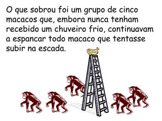 O que sobrou foi um grupo de cinco macacos que, embora nunca tenham recebido um chuveiro frio, continuavam a espancar todo macaco que tentasse subir na escada. 