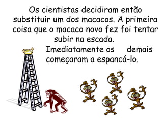 Os cientistas decidiram então substituir um dos macacos. A primeira coisa que o macaco novo fez foi tentar subir na escada.  Imediatamente os  demais começaram a espancá-lo. 
