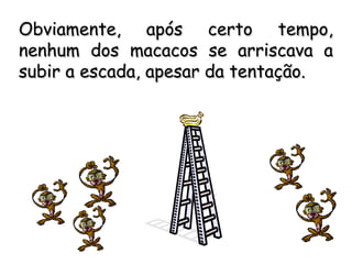 Obviamente, após certo tempo,Obviamente, após certo tempo,
nenhum dos macacos se arriscava anenhum dos macacos se arriscava a
subir a escada, apesar da tentação.subir a escada, apesar da tentação.
 