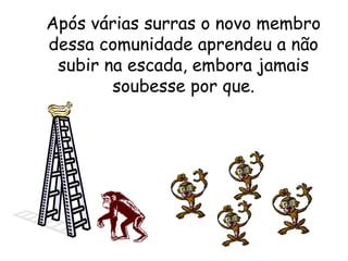 Após várias surras o novo membro
dessa comunidade aprendeu a não
subir na escada, embora jamais
soubesse por que.
 