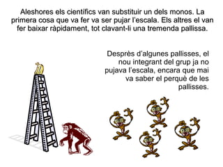 Aleshores els científics van substituir un dels monos. La
primera cosa que va fer va ser pujar l’escala. Els altres el van
  fer baixar ràpidament, tot clavant-li una tremenda pallissa.


                              Desprès d’algunes pallisses, el
                                 nou integrant del grup ja no
                             pujava l’escala, encara que mai
                                   va saber el perquè de les
                                                    pallisses.
 