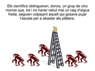 Els científics obtingueren, doncs, un grup de cinc
monos que, tot i no haver rebut mai un raig d’aigua
 freda, seguien colpejant aquell qui gosava pujar
         l’escala per a abastar els plàtans.
 